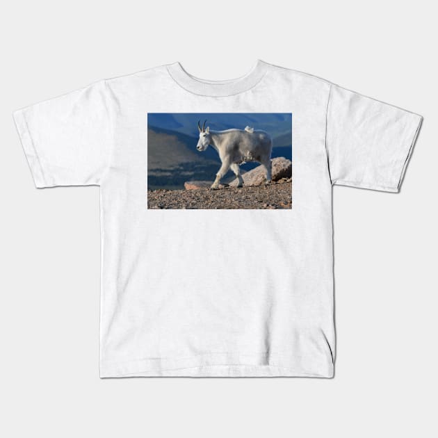 Sky Life Kids T-Shirt by gdb2